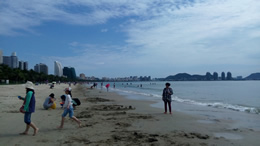 养老信息网