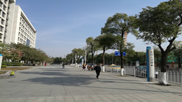 比亚迪5月销量再创新高 海外市场表现亮眼
