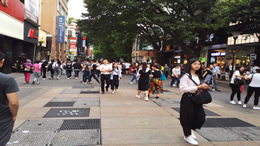 比亚迪5月销量再创新高 海外市场表现亮眼