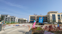 比亚迪5月销量再创新高 海外市场表现亮眼